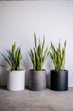 Load image into Gallery viewer, Choob