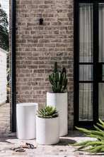 Load image into Gallery viewer, Loob