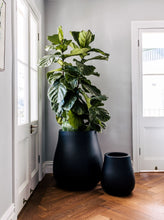 Load image into Gallery viewer, Waddle