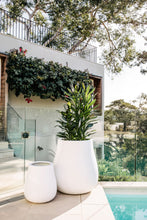 Load image into Gallery viewer, Waddle