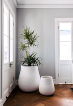 Load image into Gallery viewer, Waddle