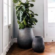 Load image into Gallery viewer, Waddle