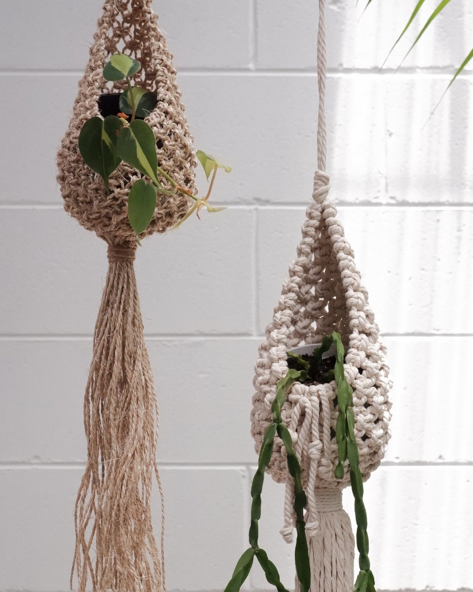 macrame pod plant hanger Macrame Pod