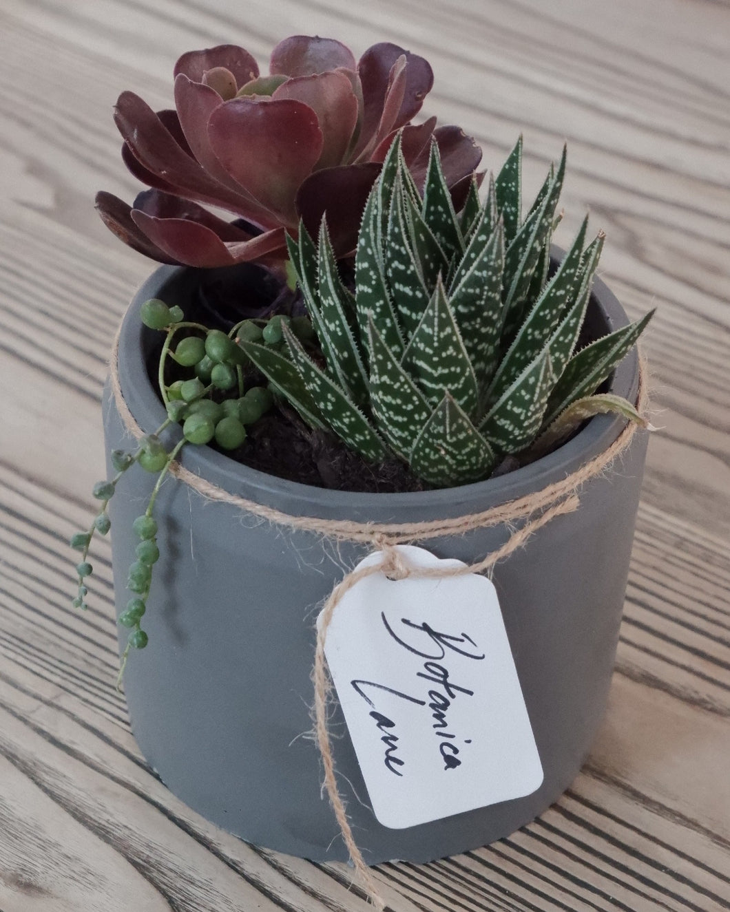 Succulent Planter