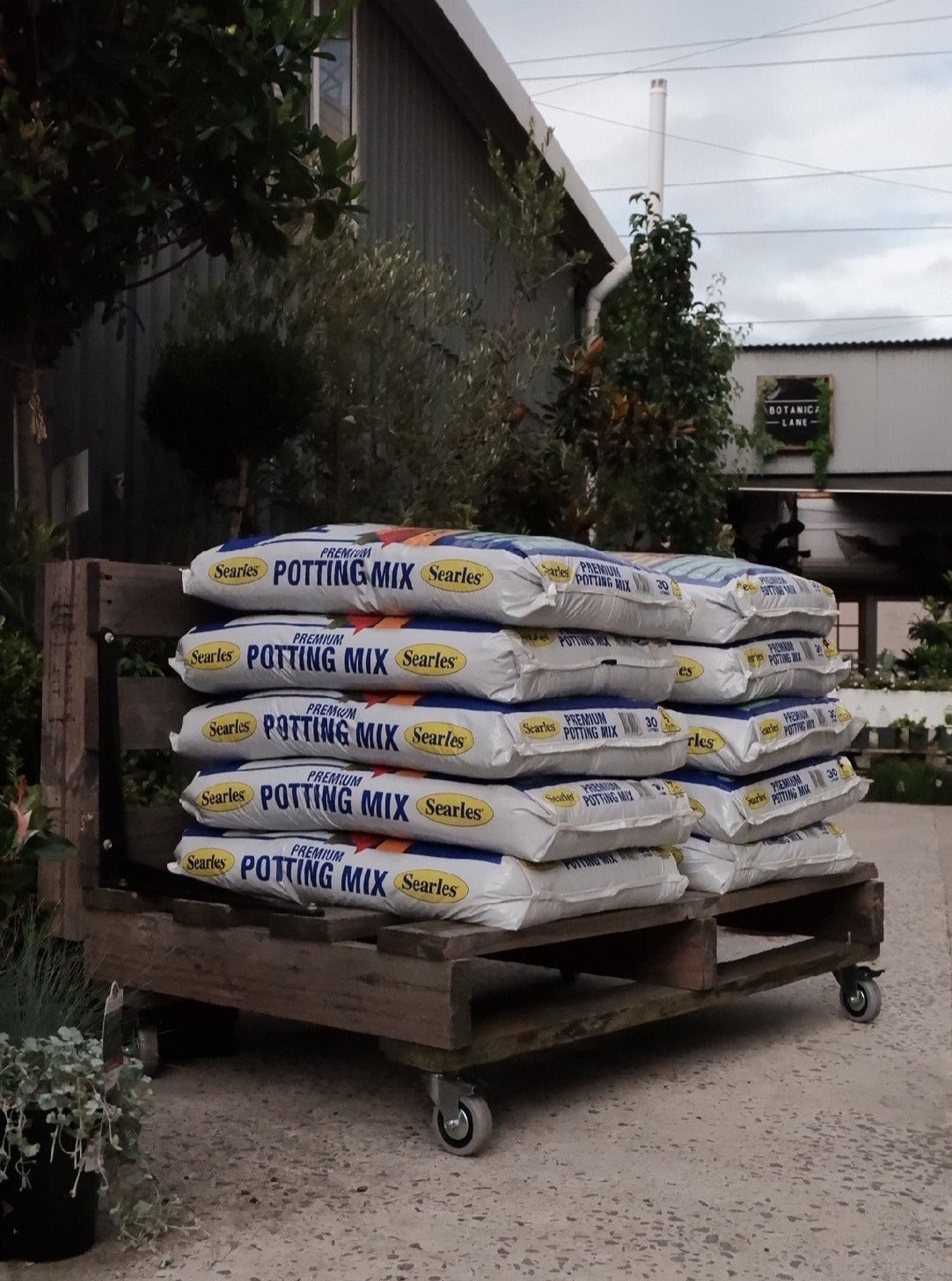 searles premium organic potting mix Premium Potting Mix – Botanica Lane