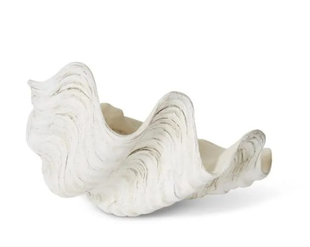 Clam Shell Sculpture