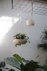 Argus Hanging Pot