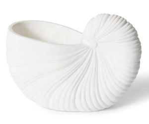 Conch Shell Pot
