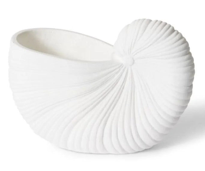 Conch Shell Pot