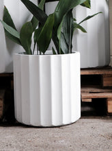 Load image into Gallery viewer, Gardenlite Grecian Planter
