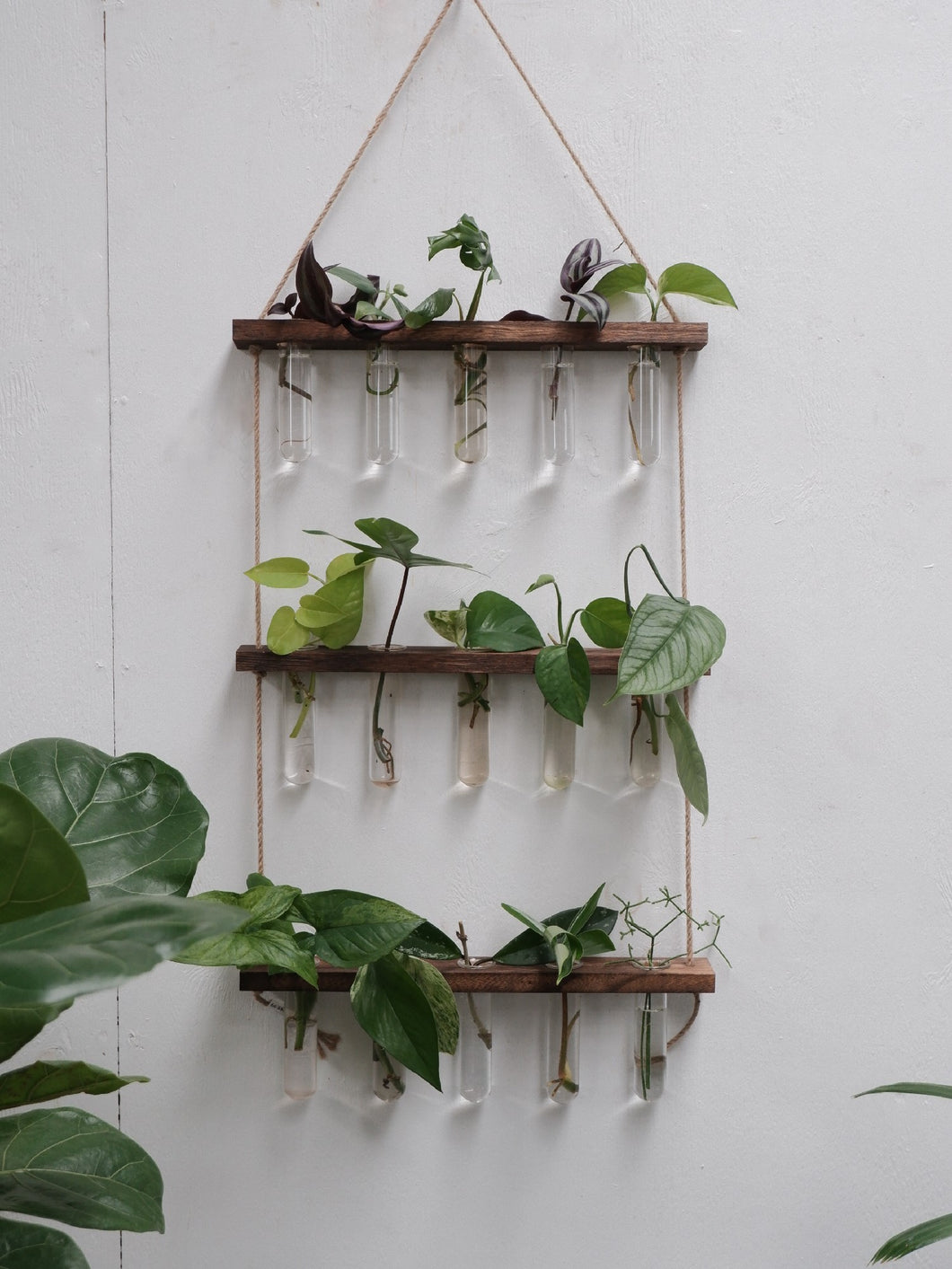 Propagation Wall Hanger