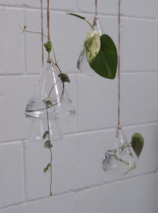 Glass Hanging Planters 