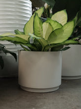Load image into Gallery viewer, Messina Planter [sz:31cm X 27cm Cl:fog Grey]
