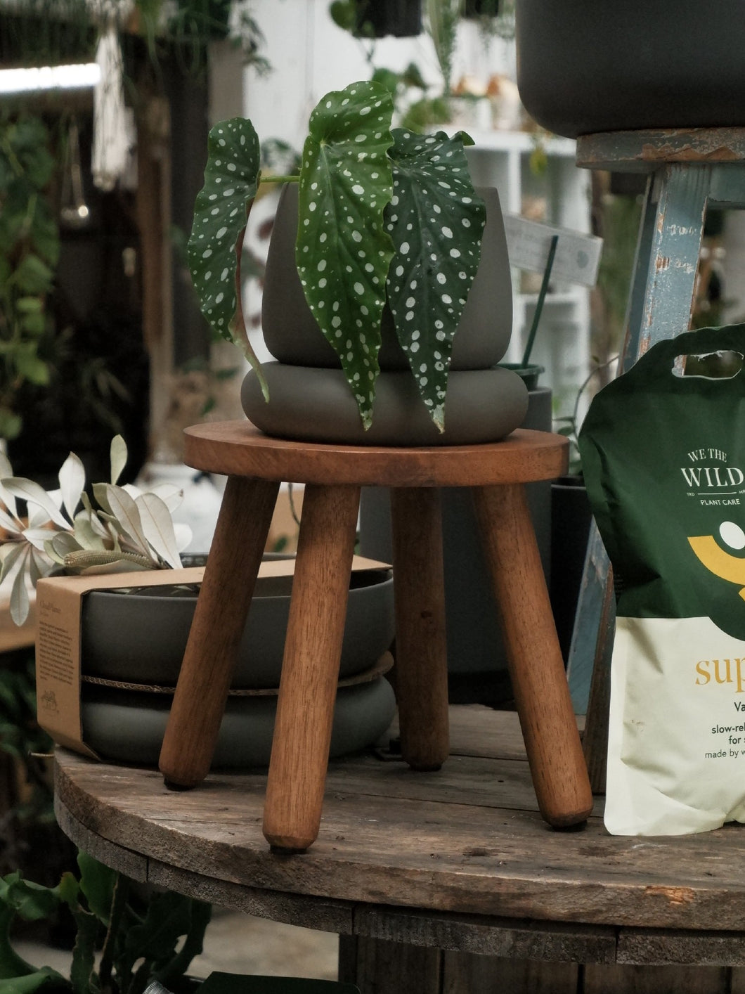 small stool for plant pot Timber Plant Stool – Botanica Lane