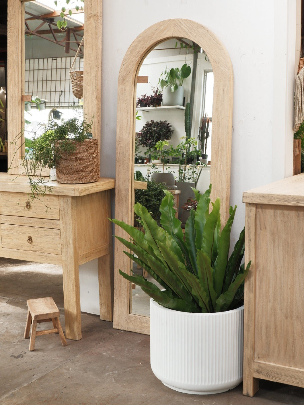 Mirror Elm Arch