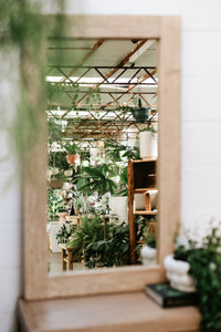 Mirror Elm Rect