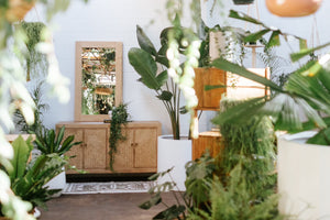 Mirror Elm Rect