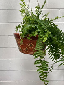 Diasy Hanging Bowl 32cm X 15cm