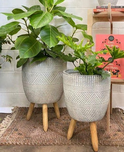 Geolite Tall Egg & Legs