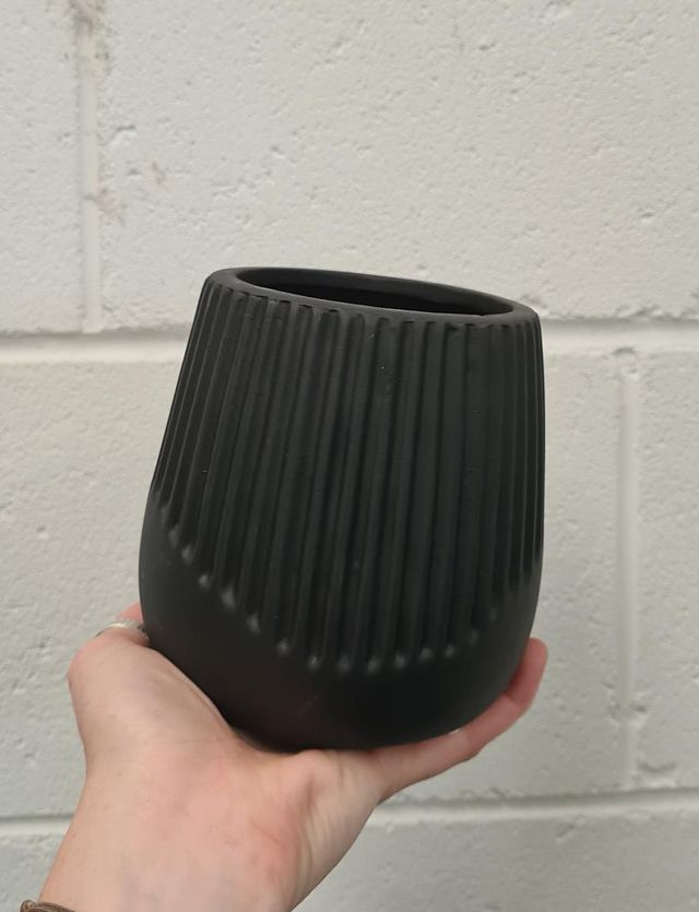 Remy Planter