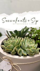 Succulents & Sip
