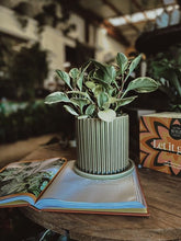 Load image into Gallery viewer, Laurel Planter

