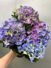 Load image into Gallery viewer, Hydrangea 180mm
