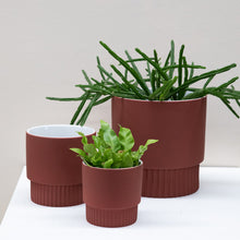 Load image into Gallery viewer, Veneto Planter Pot
