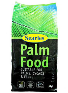 Palm Food