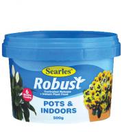 Pots And Indoors Food