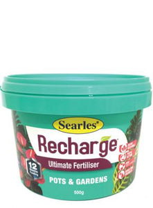 Recharge Pots And Gardens