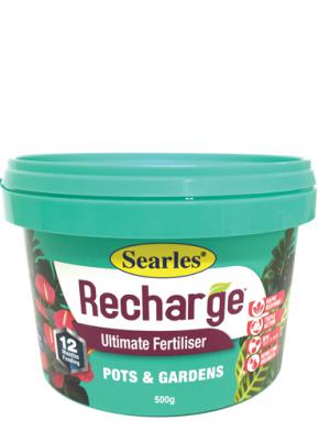 Recharge Pots And Gardens