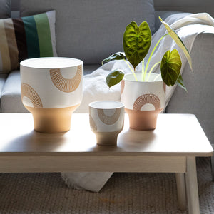 Lani Planter