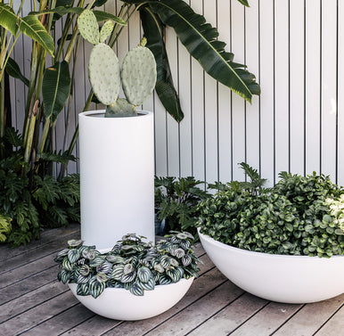 flying saucer planter Flying Saucer – Botanica Lane